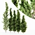 Forest Heights Hollywood Juniper Bundle 3D model small image 1