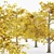 European Beech Fall Tree Set 3D model small image 2