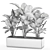 Exotic Plant Collection: Calathea, Ravenala, Strelitzia 3D model small image 5