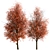 Callery Pear Tree Duo - Exquisite Pyrus Calleryana Pair 3D model small image 2