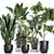 Tropical Plant Collection: Exotic, Decorative, and Stunning 3D model small image 1