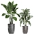 Tropical Plant Collection: Exotic, Decorative, and Stunning 3D model small image 4