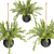 Spring Hanging Basket Plants Set 3D model small image 2