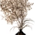 Botanical Bliss: Dried Plant Decor 3D model small image 2