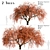 Beautiful Weeping Japanese Maple Set 3D model small image 1