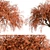 Beautiful Weeping Japanese Maple Set 3D model small image 6