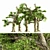 Lush 5-Tree Honey Grove 3D model small image 1