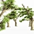 Lush 5-Tree Honey Grove 3D model small image 2