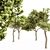 Italian Stone Pine - Set of 5 Tall Trees 3D model small image 2