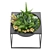 Nature's Delight: Plant Collection Vol. 11 3D model small image 4