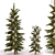 Evergreen Pine Tree: Two Sizes 3D model small image 1
