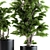 Evergreen Bliss Bonsai pine trees 3D model small image 3