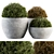 Greenery Bliss: Set of 106 Outdoor Topiary Balls 3D model small image 1