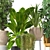 Five Plant Collection: Indoor and Outdoor Ornamental Pots 3D model small image 3