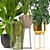 Five Plant Collection: Indoor and Outdoor Ornamental Pots 3D model small image 4