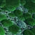Mossy Forest Seamless Texture 3D model small image 4