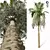 Tropical Paradise Palm Tree 3D model small image 2