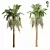 Tropical Paradise Palm Tree 3D model small image 3