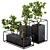 Zen Bonsai Benjamin Set 3D model small image 1