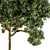 Green Broadleaf Tree Set - 28 3D model small image 2