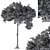 Green Broadleaf Tree Set - 28 3D model small image 4