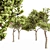 Italian Stone Pine Collection: 5 Majestic Trees 3D model small image 2