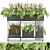  Premium Plant Collection Vol. 13 3D model small image 2