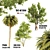 Triple Tree Set: Eucalyptus, Palm & Ash 3D model small image 1