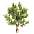 Triple Tree Set: Eucalyptus, Palm & Ash 3D model small image 3