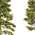 Pine Polygons Set 3D model small image 2