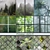 Nature's Escape: Designer Wallpaper Frame 3D model small image 1