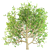 Spring Chestnut Tree: Beautiful Ornamental Tree for Your Garden 3D model small image 3