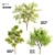 31 Corona Tree Set: Acacia, Ash, Locust 3D model small image 1