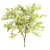 31 Corona Tree Set: Acacia, Ash, Locust 3D model small image 3