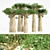 Towering Madagascan Baobab Jungle Set 3D model small image 1