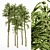 Tropical Forest Monkey Puzzle Tree 3D model small image 1