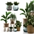 Eco-Friendly Indoor Plants Set 3D model small image 1