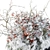 Snowy Outdoor Tree Set 3D model small image 2