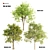  Evergreen Trio: 10m Sorrel, 8.4m Katsura & 9.3m Beech Trees 3D model small image 1