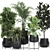 Exotic Plant Collection for Indoor and Outdoor - 769 3D model small image 1