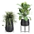 Exotic Plant Collection for Indoor and Outdoor - 769 3D model small image 4