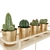 Sleek Cactus Set for Modern Spaces 3D model small image 4