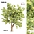 Natural Acacia Tree Sculpture 3D model small image 1