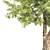 Natural Acacia Tree Sculpture 3D model small image 3