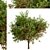 Dual Apple Tree Set 3D model small image 4