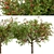 Dual Apple Tree Set 3D model small image 5