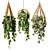 Hanging Wood Pots with Ampel Plants  3D model small image 1