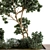 Greenery Bundle - Outdoor Garden Set 3D model small image 2
