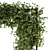 Ivy4Ever - Outdoor Plant Set 3D model small image 4