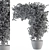 Ivy4Ever - Outdoor Plant Set 3D model small image 5